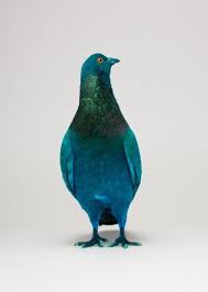 Pin Worthy Gina Demm Sfgirlbybay Pigeon Beautiful Birds Birds
