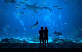Erscheinungsdatum beliebtheit niedrigster preis höchster preis artikelbezeichnung. Deutschland Aquarien Die Top 10 Aquarien Im Uberblick Bilder 2021
