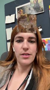 Orange cat household orange cat brain