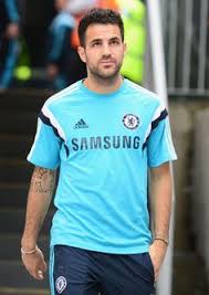 Photo by shaun botterill/getty images. Cesc Fabregas