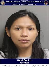 BRISKET BANDIT WANTED FOR THEFT AFTER H-E-B HEIST! On July 23, 2025,  deputies with Constable Mark Herman's Office responded to the H-E-B in the  28500 block of Northwest Freeway in reference to