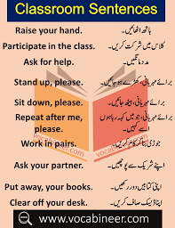 Daily Use Sentences In Classroom With Urdu Hindi Translation In 2020 English Phrases Sentences English Vocabulary Words Learn English Words
