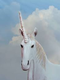 See unicorn color stock video clips. Image Of Close Up Of White Unicorn Free Photo 100011159