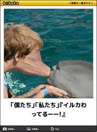 写真で一言 ボケて bokete 顔コラ 爆笑画像 面白い写真