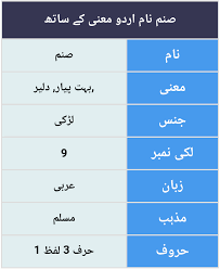 Sanamصنم Name Meaning In Urdu English Names With Meaning Southern Baby Boy Names Names For Boys List