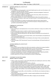 corporate accountant resume samples