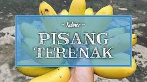 We would like to show you a description here but the site won't allow us. Jangan Buang Nasi Sisa Di Rumah Coba Buat Jadi Camilan Renyah Nan Gurih Ini Tribunnews Com Mobile