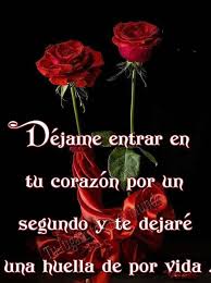 Imagenes De Rosas De Amor Frases De Rosas Imagenes De Enamorados Mejores Imagenes De Amor