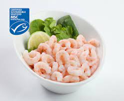 Canadian Cold Water Shrimp - Clearwater