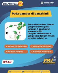 Semoga pembahasan kita hari ini bermanfaat dan dapat menambah wawasan kita. Primagama Borobudur Raya Reposted From Primagama Id Hai Gaes Pejuang Pmj Yok Berlatih Soal Pmj Biar Kamu Lebih Siap Buat Bertempur Di Pmj 2020 2021 Kali Ini Kita Belatih Ipa Sd Jawab Di