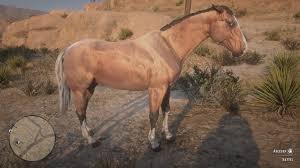 Red Dead Redemption 2 Der Ultimative Pferde Guide