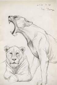 Draw 2014 05 14 By Kimsuyeong81 On Deviantart Animal Drawings Sketches Animal Drawings Lion Drawing