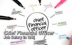 Thinking of becoming a chief financial officer? Dubai And Uae Chief Financial Officer Job Salary