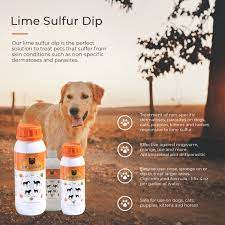 Learn how to name a dog by picking a great name and 5 simple tips on how to teach a dog its name. Classic S Lime Sulfur Dip 16 Oz Pet Care And Veterinary Treatment Against Ringworm Mange Lice Flea Itchy And Dry Skin Xtra Strength Formula Safe For Dog Cat Puppy Kitten