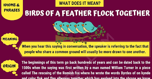 What does expiry date mean? Birds Of A Feather Flock Together What It Means Where It Has Come From 7esl