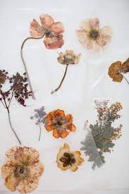 Finally working on some pressed flower projects i've been wanting to do for a while. Diy Pressed Flower Art Shannon Kirsten Studio