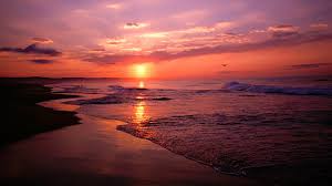 Red roses, most popular rose, rose. Rose Gold Pink Beach Sunset Wallpaper Apessoaescreve