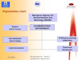 Organization Chart Mongolian Agency For Standardization And