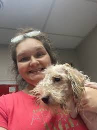 Adorable Spoiled Bloodhounds