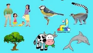 Demikianlah portingan mengenai kunci jawaban halaman 3, 4, 5, 6, 7, 8, 9, 11, 12, 14, 15 kelas 4 tema 1 buku tematik siswa. Kunci Jawaban Tema 5 Kelas 5 Untuk Halaman 1 4 Pembelajaran 1 Kumparan Com