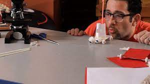 Collect one card for each student and put the name of a famous person that your students. How To Make A Car Out Of Paper Candies Science Projects Youtube