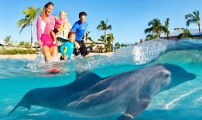 Dolphin Cay, Atlantis | Nassau Paradise Island