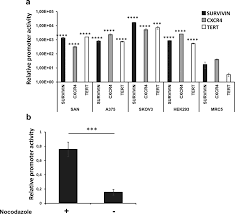 Herpes simplex virus (hsv) is a member of the alphaherpesvirinae subfamily of the herpesviridae family. Replicative Conditioning Of Herpes Simplex Type 1 Virus By Survivin Promoter Combined To Erbb2 Retargeting Improves Tumour Cell Restricted Oncolysis Scientific Reports