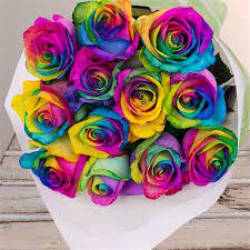 Choose your local florists in melbourne, vic as all our florists deliver flowers same day on orders received before 2pm. 12 Rainbow Roses Flowers Sarah S Flowers Your Friendly Florist 1300 448 335