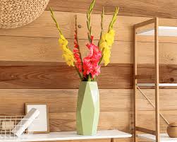 Image result for Gladiolus melleri