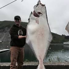 Velg blant mange lignende scener. Grand Alaskan Adventures Charters And B B Posts Facebook