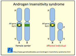 Intersex results from a variation in the embryological development of the reproductive tract. Facebook