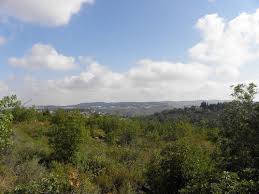 שקמים דימונה דיר אל אסד דלית אל כרמל דפנה הוד השרון הודיה הכפר הירוק הר אדר הר ברכה הר חלוץ הר כנען הרי יהודה הרצליה הרצליה פיתוח ורד יריחו זיתן זכרון יעקב חבצלת השרון חגור חדרה חולון. Givat Ye Arim Ramat Raziel And Har Hatayasim Jerusalem Israel Alltrails