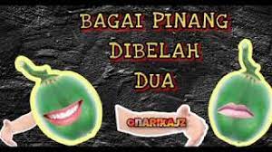 Next post seterusnya seperti parang mata dua. Bagai Pinang Dibelah Dua Youtube