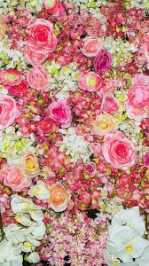 Pin On Flowers Wallpapers