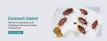 However, you can expect to pay much more or much less in different regions pest control treatment for commercial properties and office buildings will cost more than pest control for smaller residential properties. Best Cockroach Control Kolkata Result Or 100 Money Back