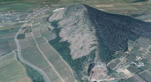 Image result for Cosmia diffinis