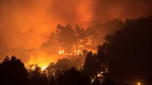 Lo que dijo el viceministro ambiente y. 8cxwsxe6xy0t2m