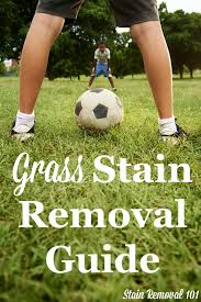 This is due to the complex proteins and coloring it's fun watching your children frolic and play in the grass until you find dreadful grass stains. How To Remove Grass Stains