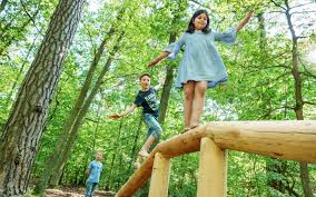 Tolle ausblicke wie die natur sich alles zurück holt. Barfusspark Beelitz Heilstatten Flaming Beelitz Heilstatten