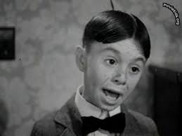 Favorite Rascal photos