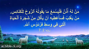 آيات الكتاب المقدس عن الحياة الأبدية ابحث عن طريق الحياة الأبدية