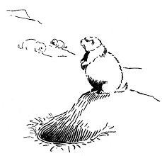 Please leave a comment below! Free Prairie Dog Coloring Pages 1814495 Png Images Pngio