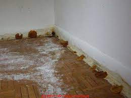 Mold is embedded in the surface on which it is growing, making it much more difficult to get rid of. Yellow Mold Growth On Building Surfaces What Does Yellow Mold Contamination Look Like On Indoor Surfaces