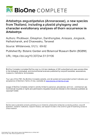 Image result for Artabotrys stolzii