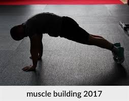 Pin On Muscle