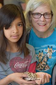 3 Annual Report 2017