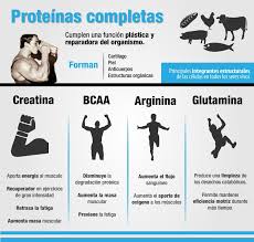 La dieta para aumentar la masa muscular debe incluir estrategias como consumir más calorías de las que se gastan, aumentar la cantidad de proteínas durante el día y en caso que no se tenga una ingestión de agua suficiente, el aumento de la masa muscular será más lento y con más dificultad. Cuanta Proteina Tomar Para Ganar Masa Muscular Y Fuerza Rutina Para Masa Muscular Nutricion Y Ejercicio Salud Y Deporte