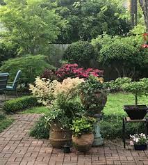 Free shipping on orders over $99 with arrive alive guarantee from the tree center. Collecting Japanese Maples Finegardening