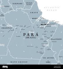 Amazonas river map hi-res stock photography and images - Alamy