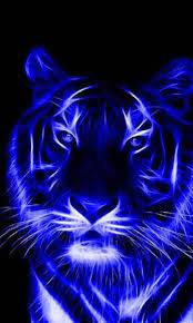 Gambar Wallpaper Harimau Keren Tiger Pictures Tiger Artwork Lion Pictures